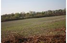 Property photo 4 - 641 Acres Offered in 16 Tracts - 545 Cropland Acres
